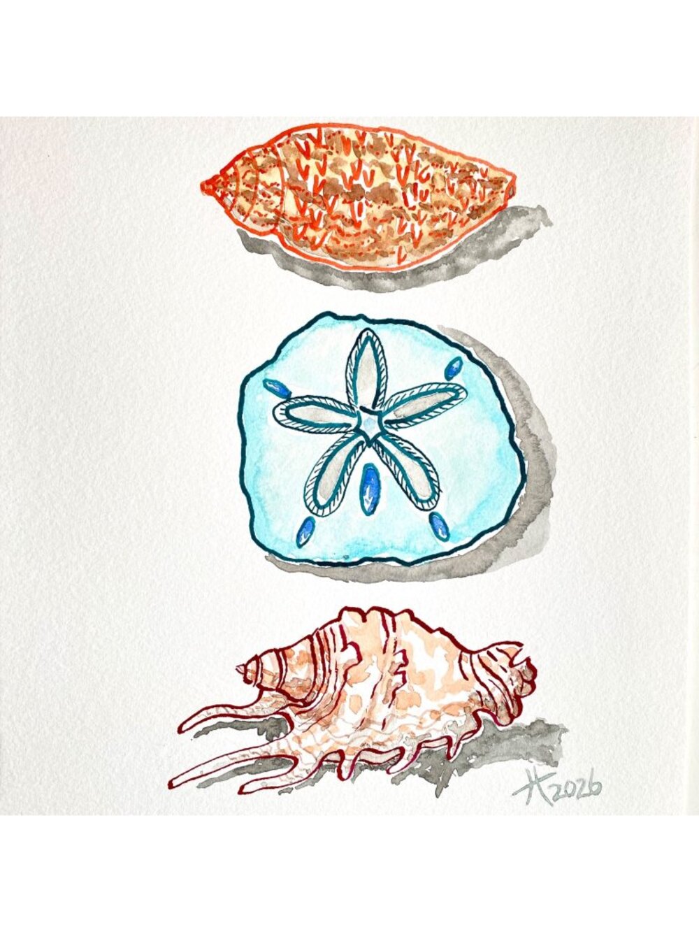 Sea Shell Collection Original Art Ink and Watercolor Painting 11x14in Matted